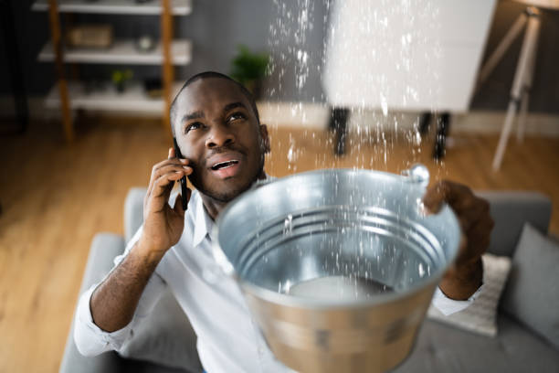 Best Carpet water damage restoration  in Keokuk, IA