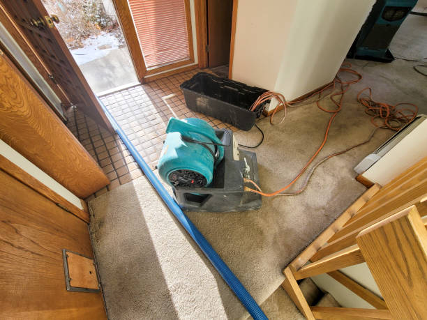 Best Local water damage restoration  in Keokuk, IA