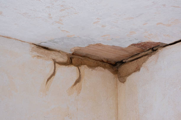 Best Water damage contractors near me  in Keokuk, IA
