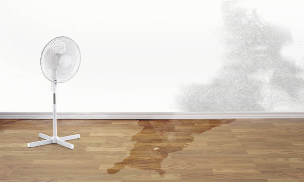 Water damage restoration mold remediation in IA