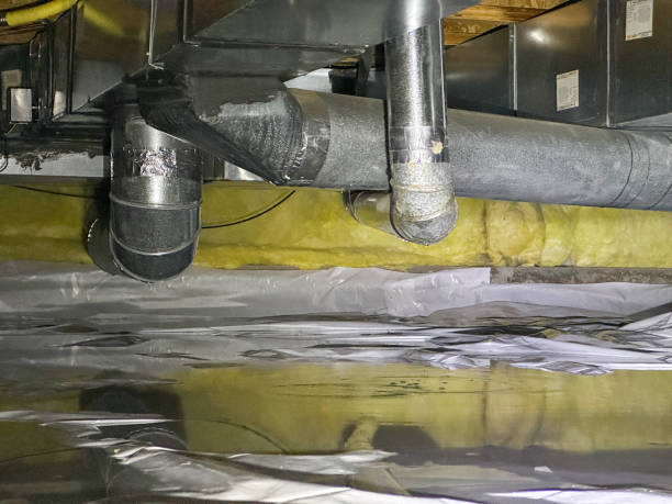 Best Water damage restoration mold remediation  in Keokuk, IA