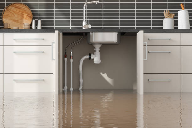 Best Sewage cleanup and water damage restoration  in Keokuk, IA